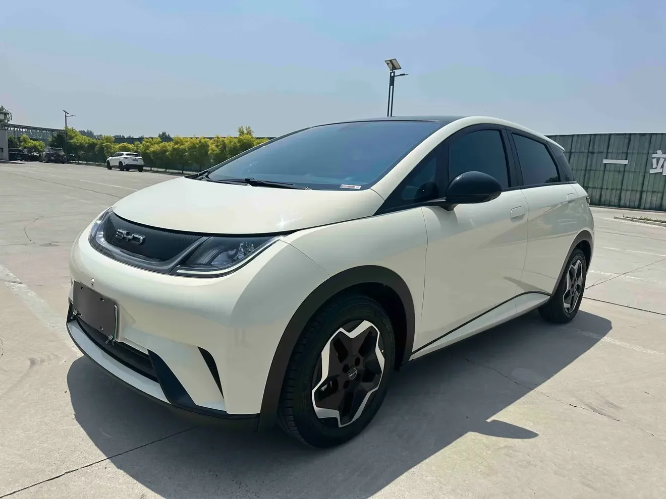 BYD dolphin