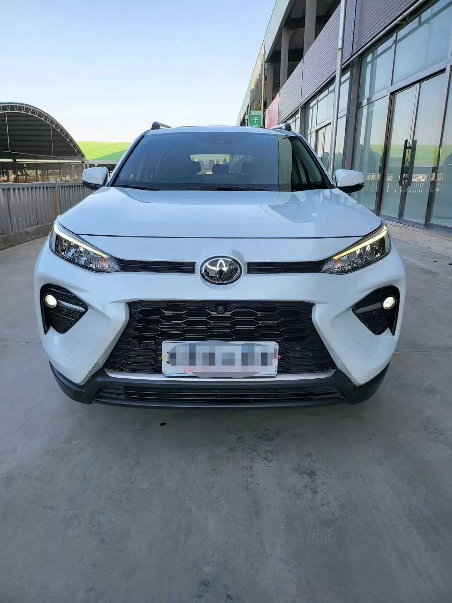 Toyota Willanda