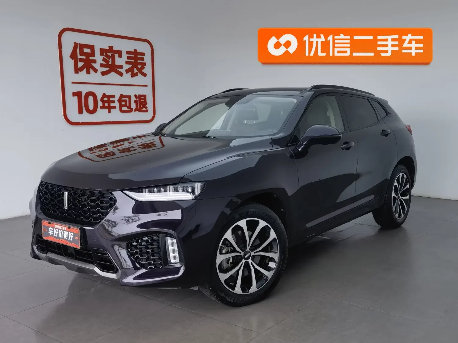 Wey Wei brand VV7