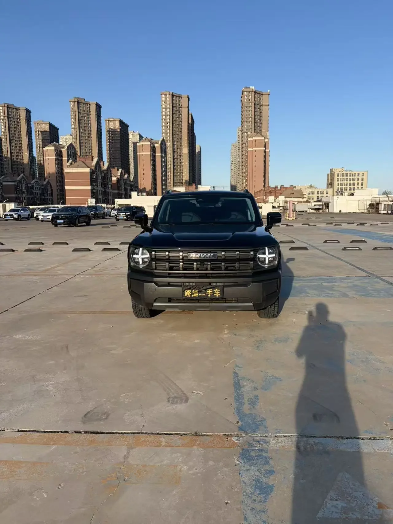 Haval cool dog