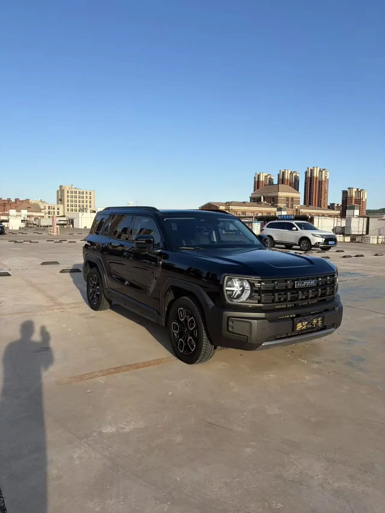 Haval cool dog