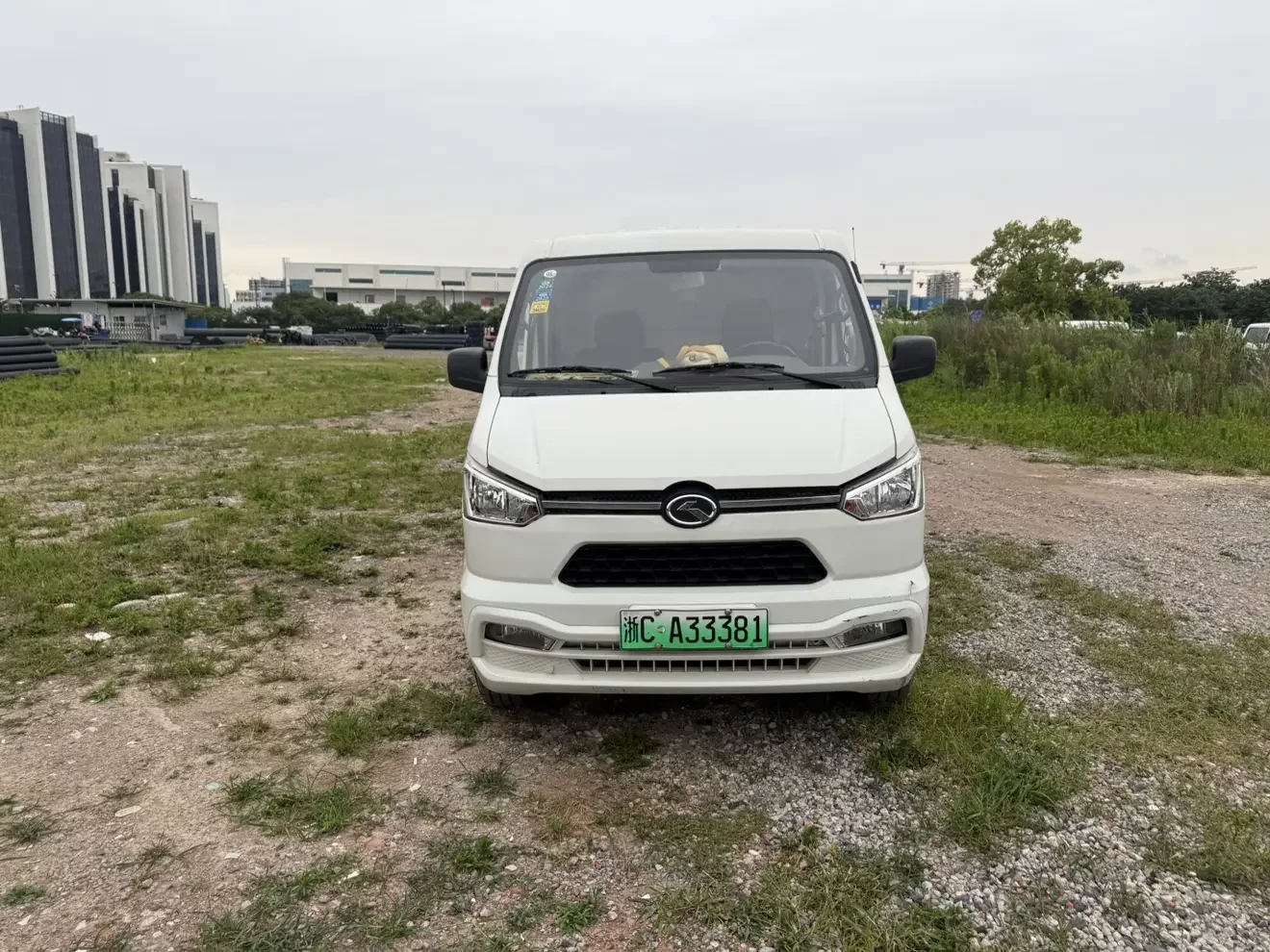 Golden dragon Long Yao 6