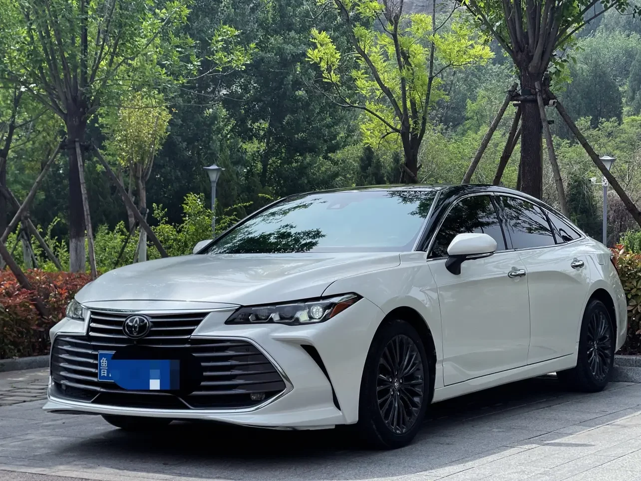 Toyota Avalon