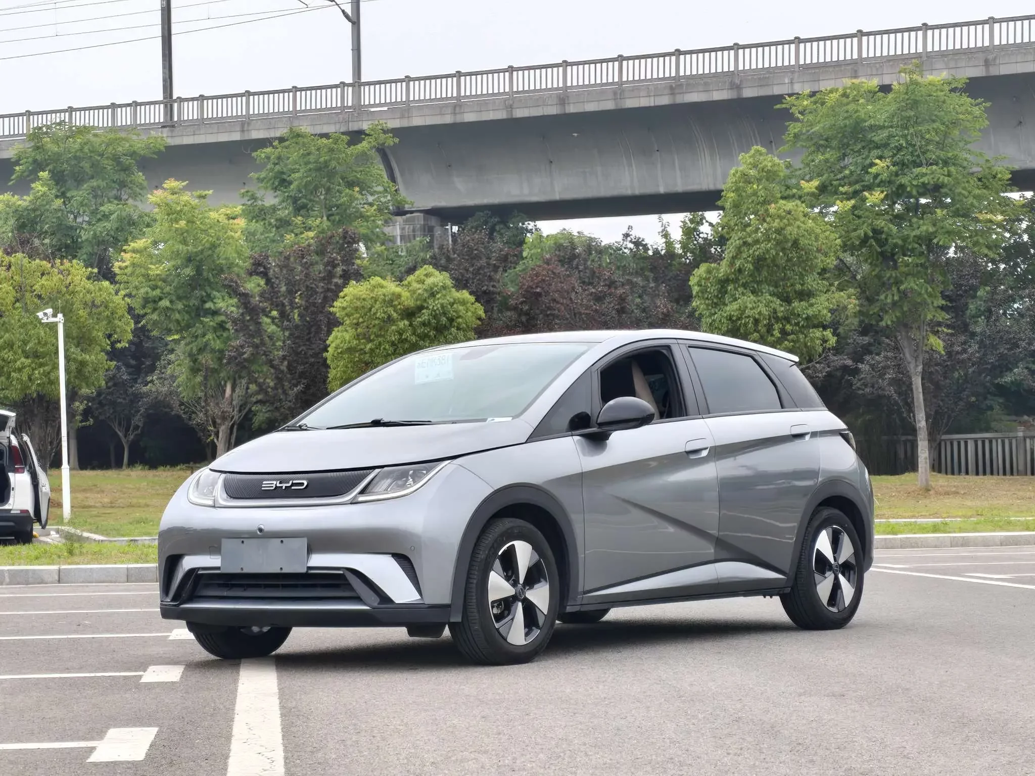 BYD dolphin