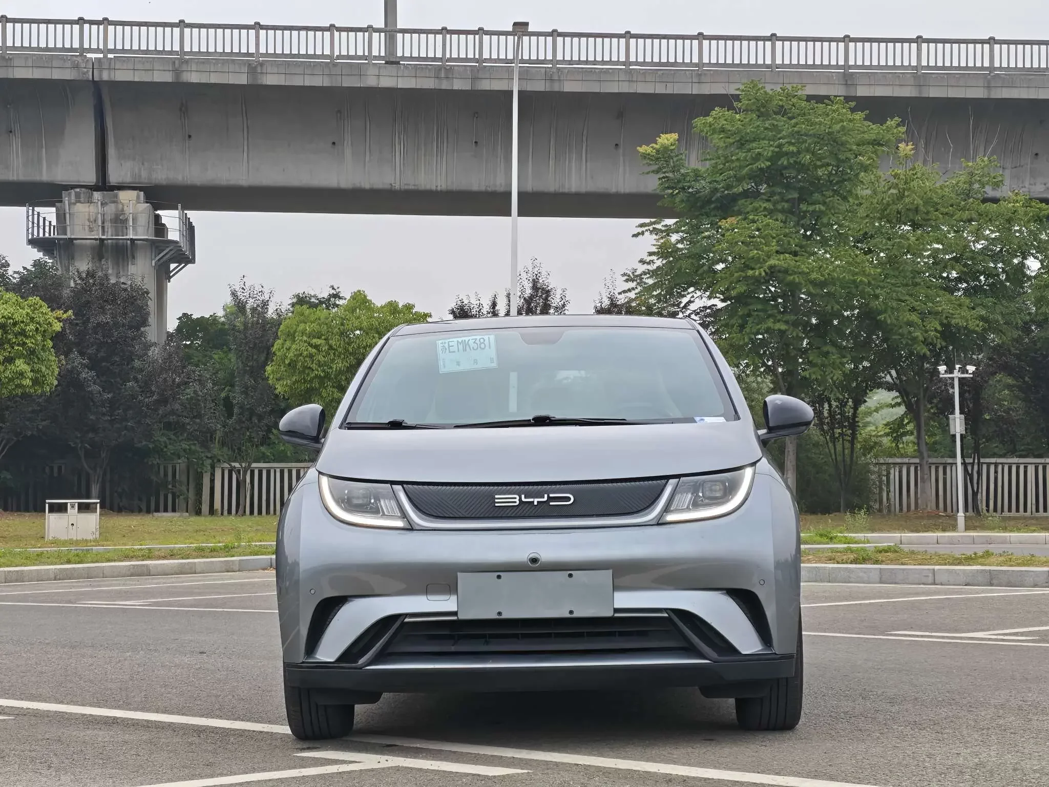 BYD dolphin