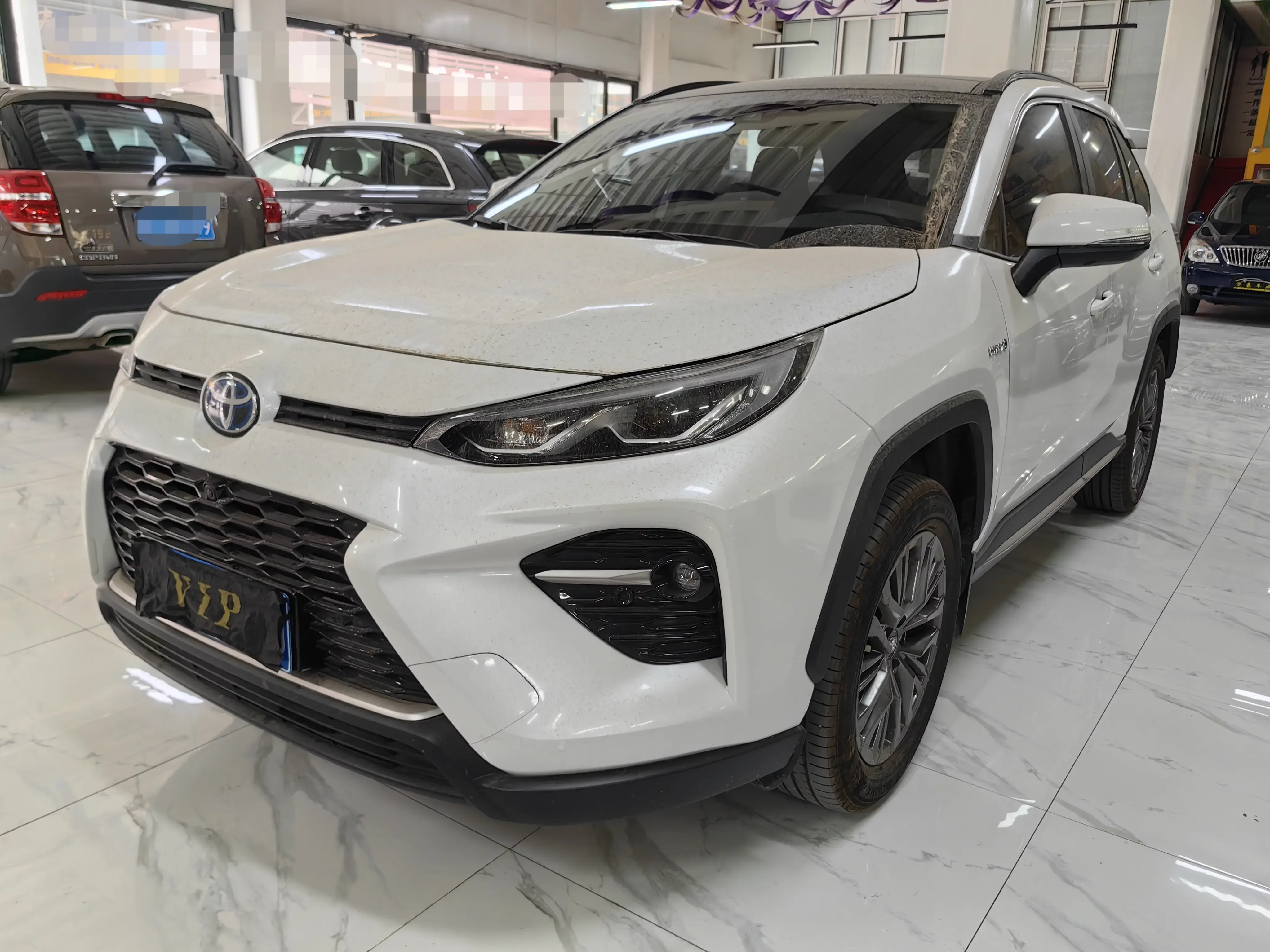 Toyota Willanda