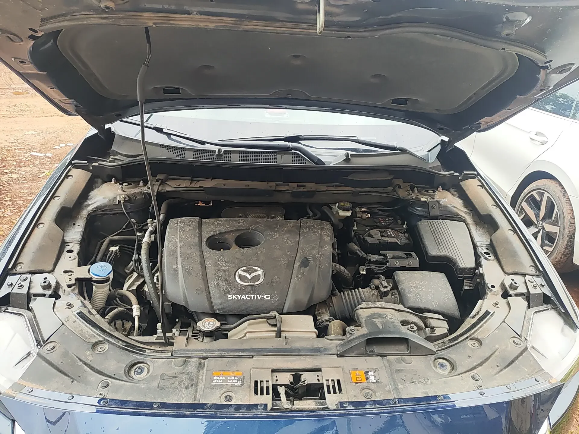 catalog-car-19