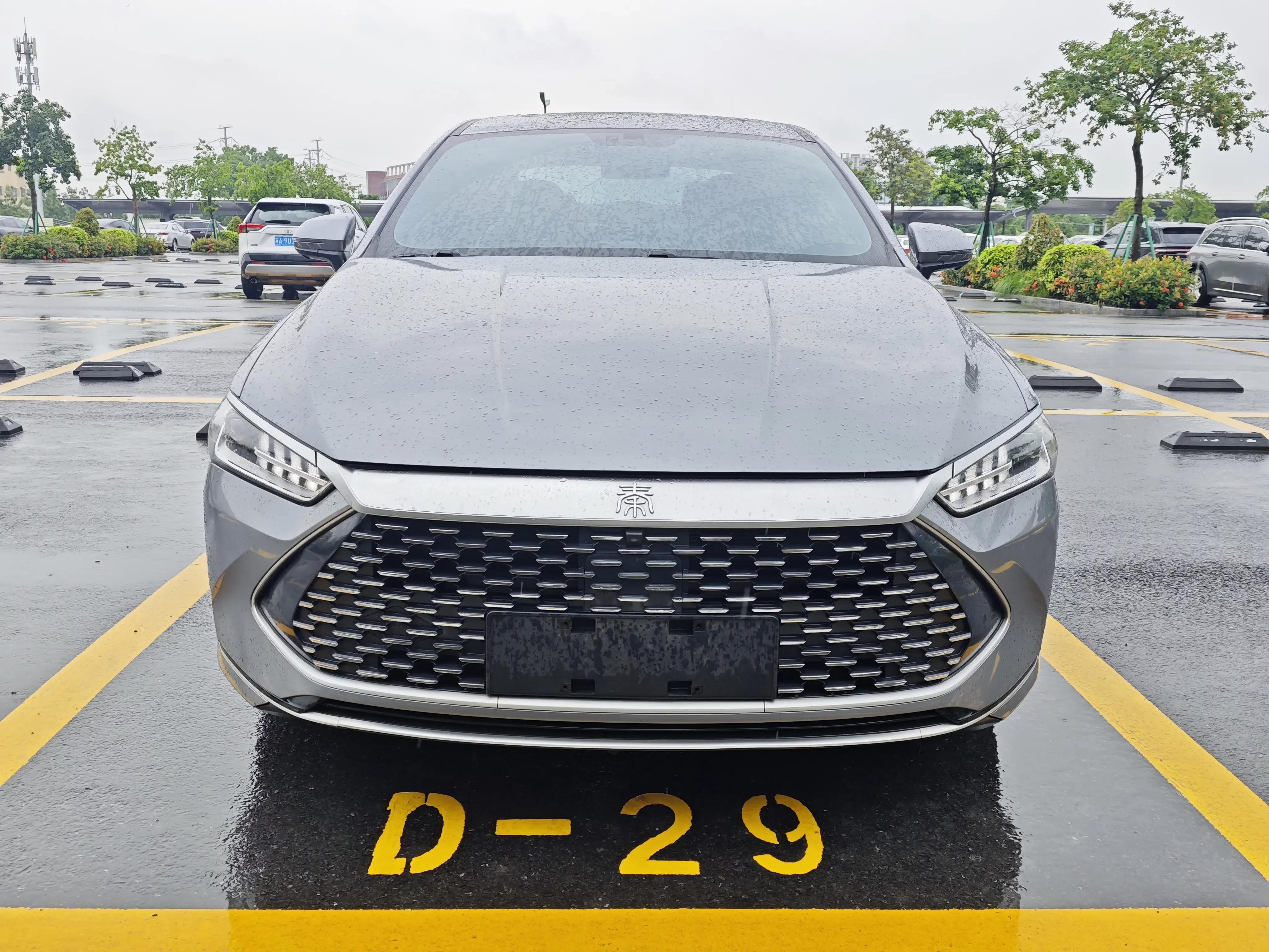 BYD Qin PLUS DM