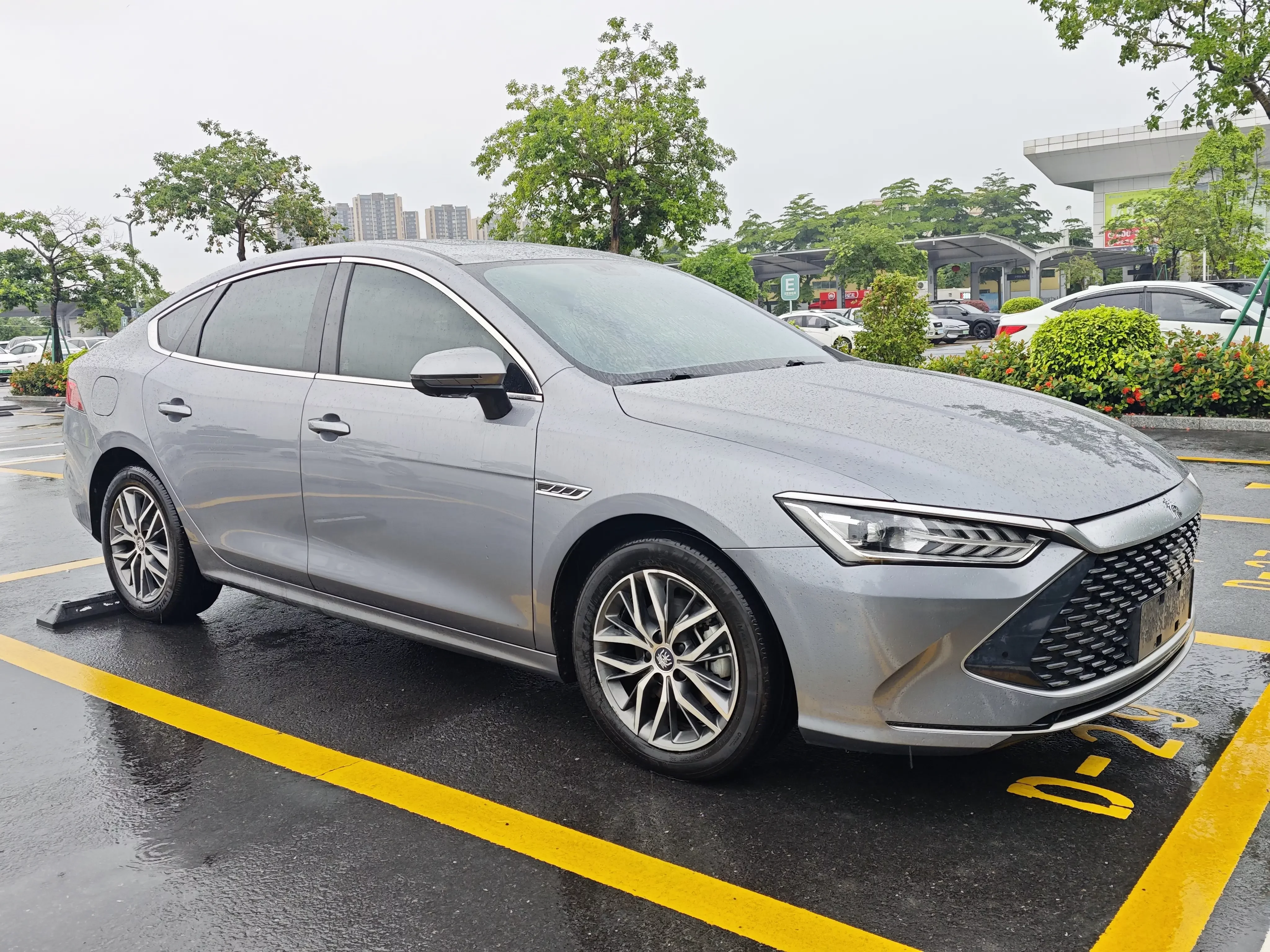 BYD Qin PLUS DM
