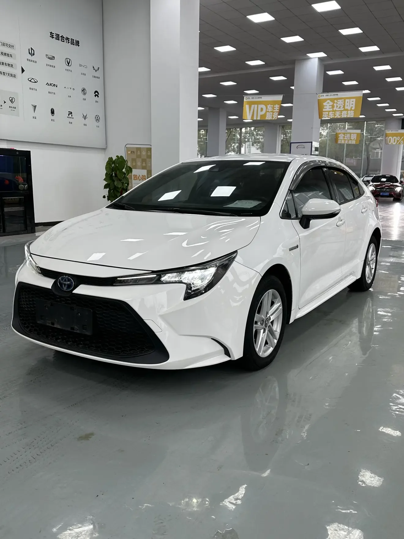 Toyota Levin
