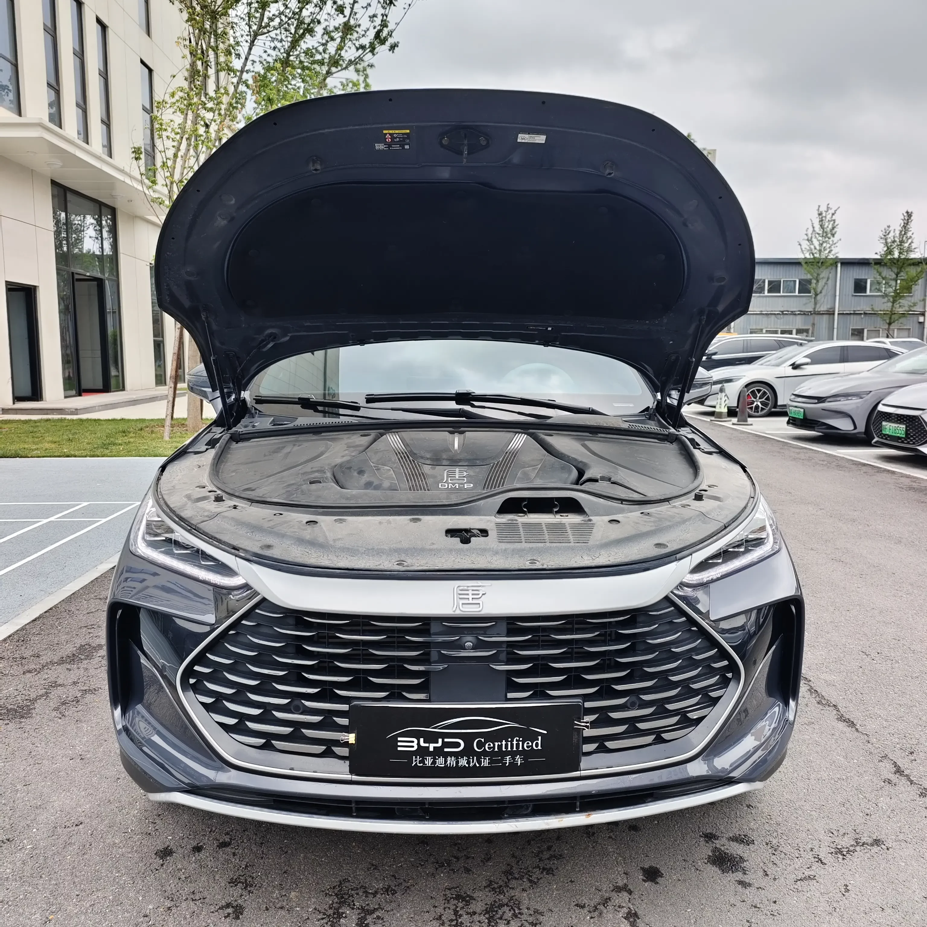 BYD Tang DM