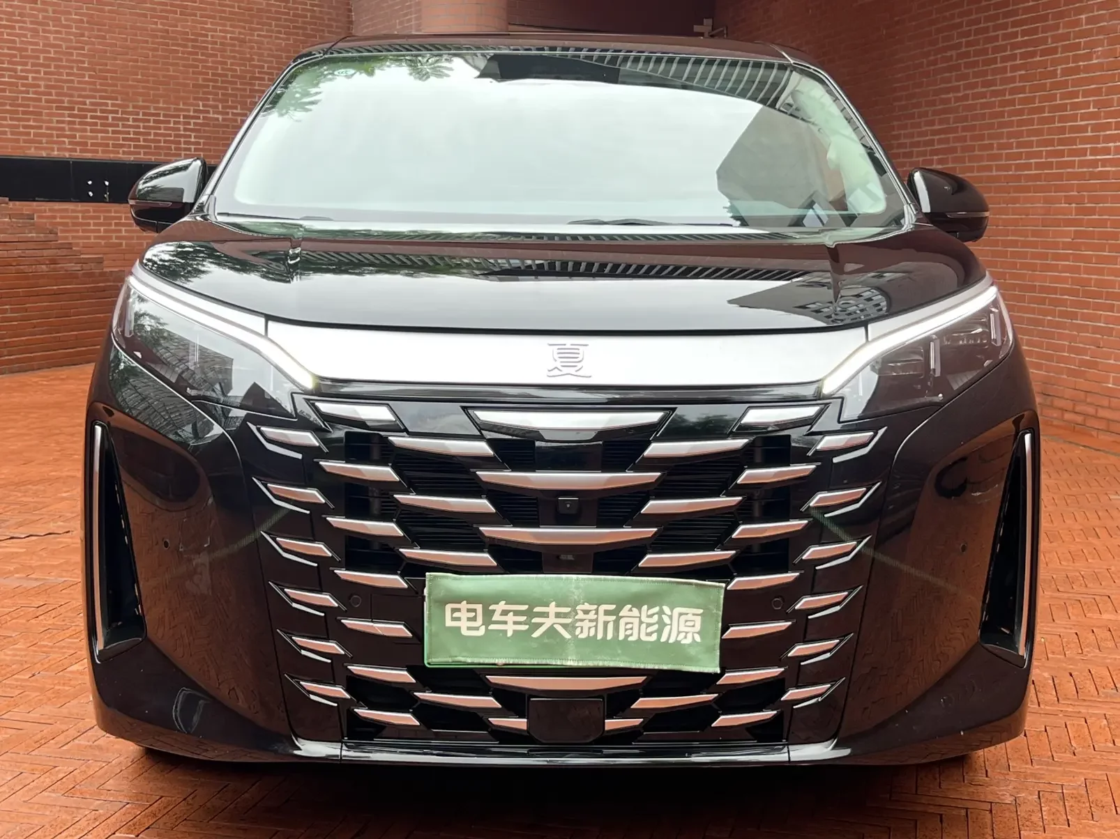 BYD summer