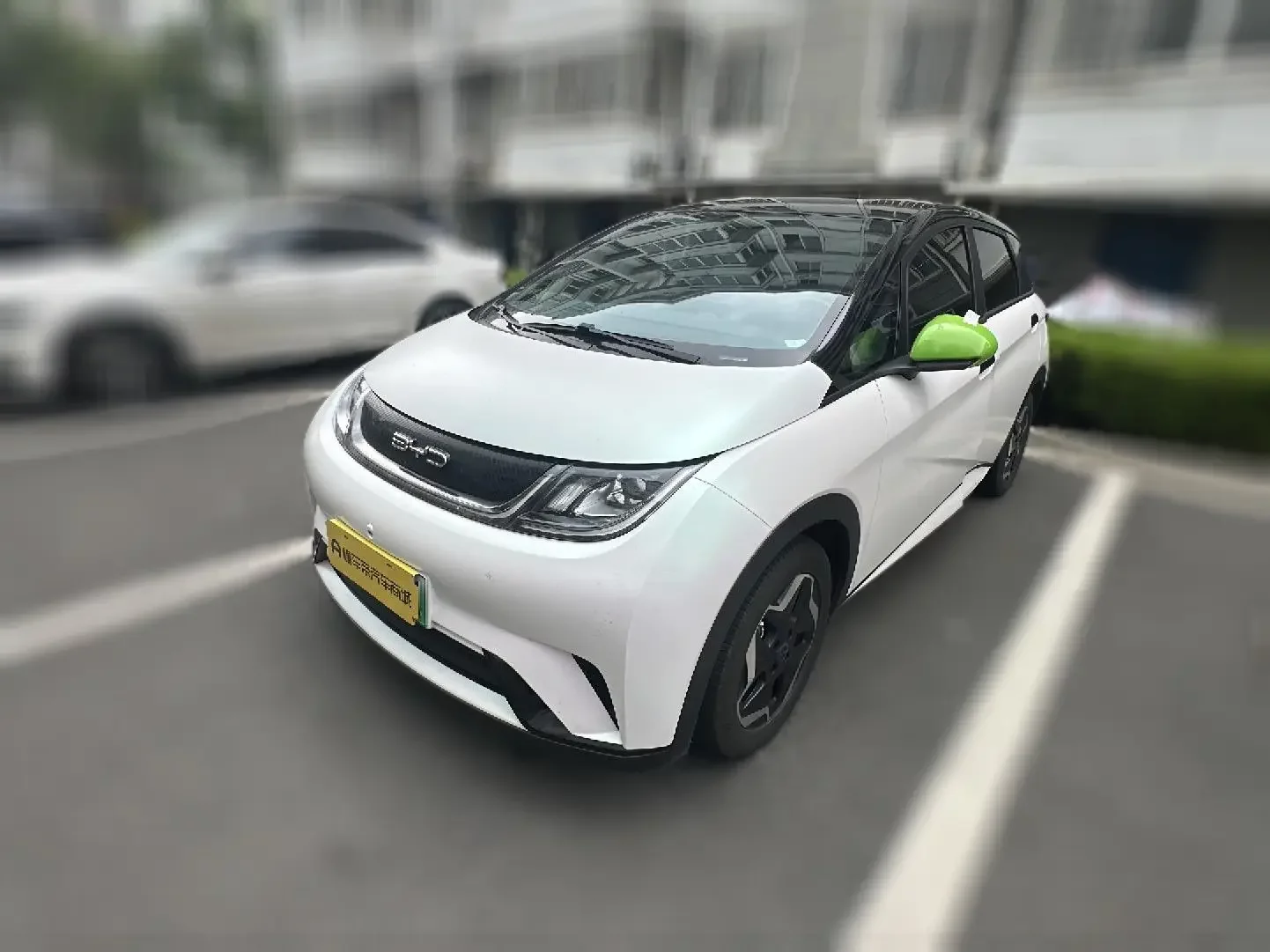 BYD dolphin