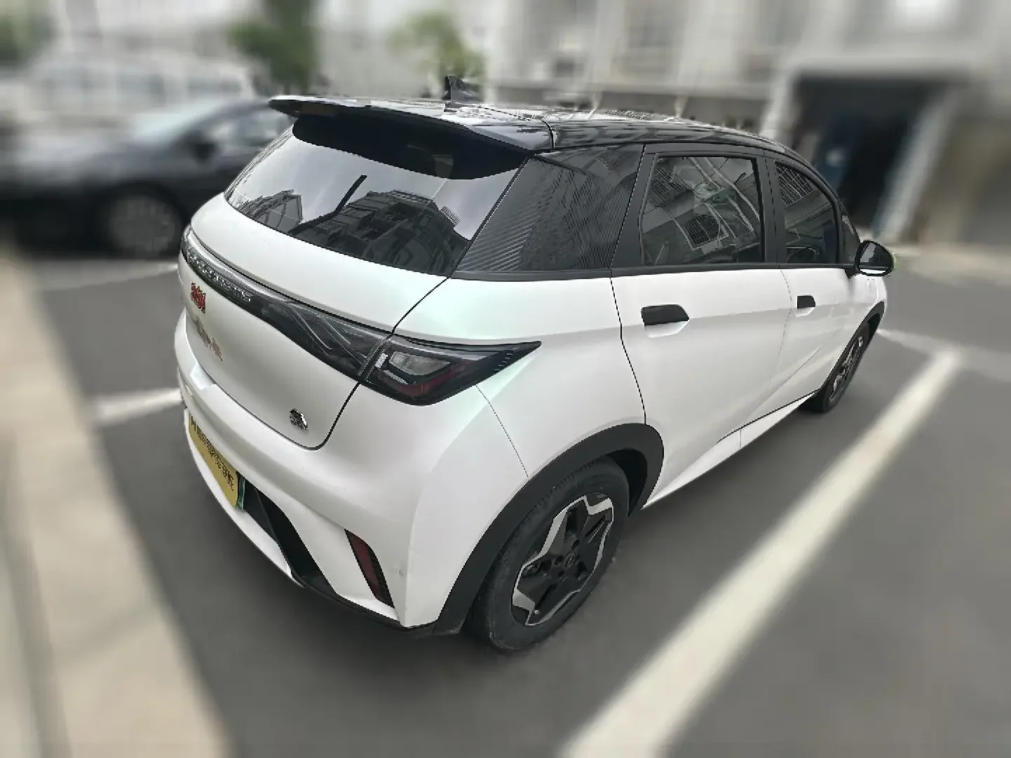 BYD dolphin