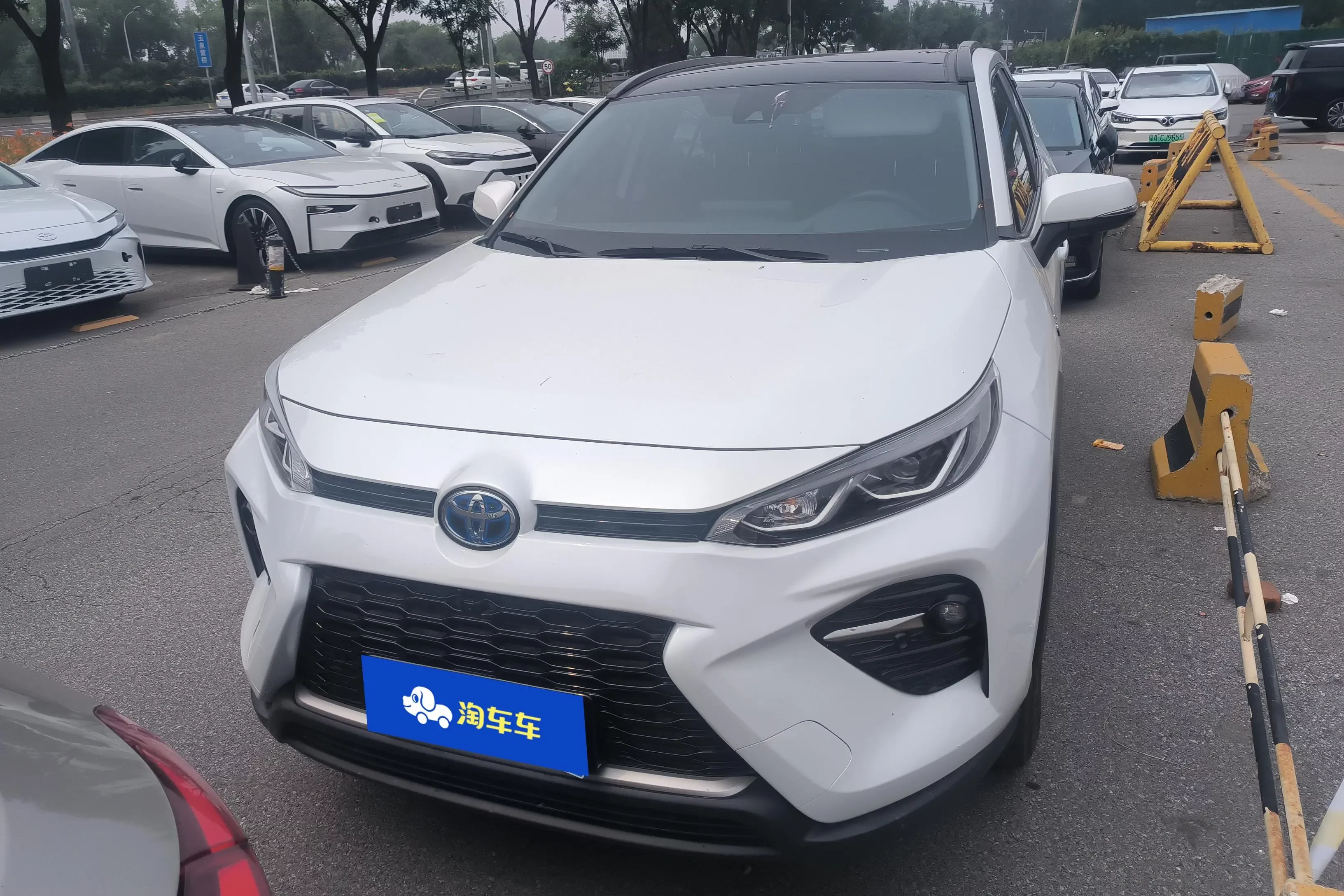 Toyota Willanda