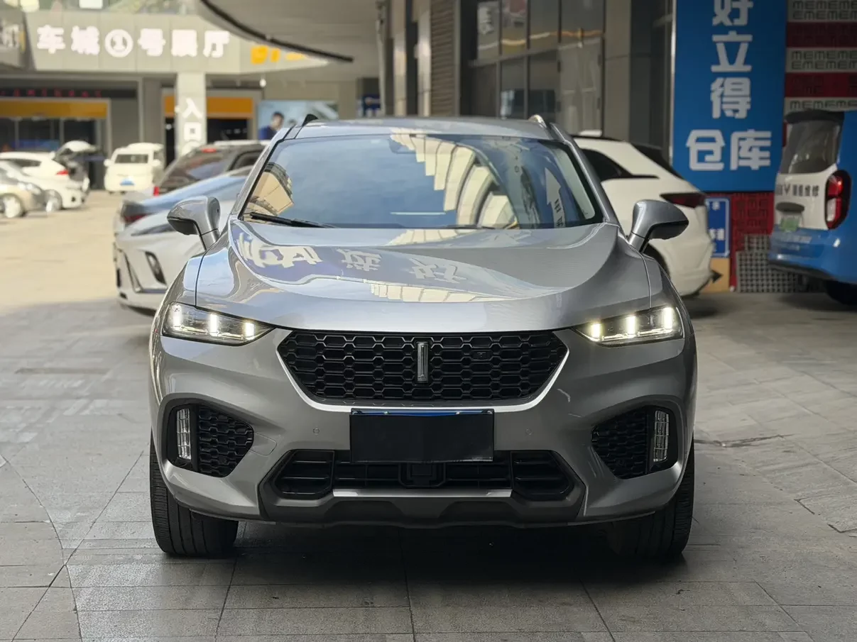 Wey Wei brand VV7