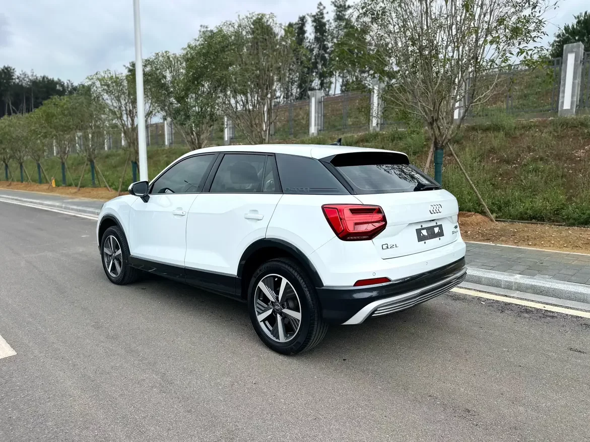 Audi Q2L e-tron