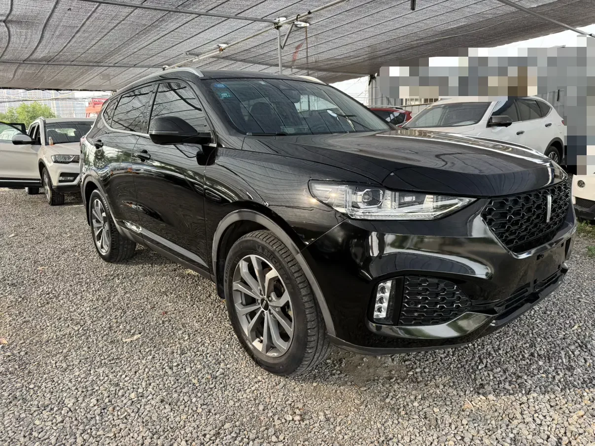 Wey Wei brand VV6