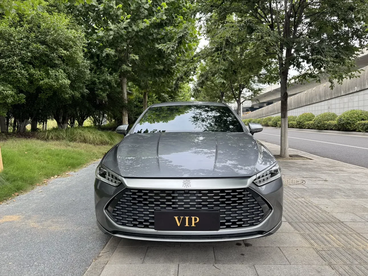 BYD Qin PLUS DM