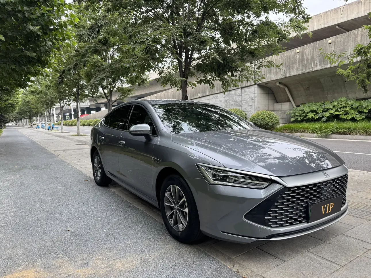 BYD Qin PLUS DM