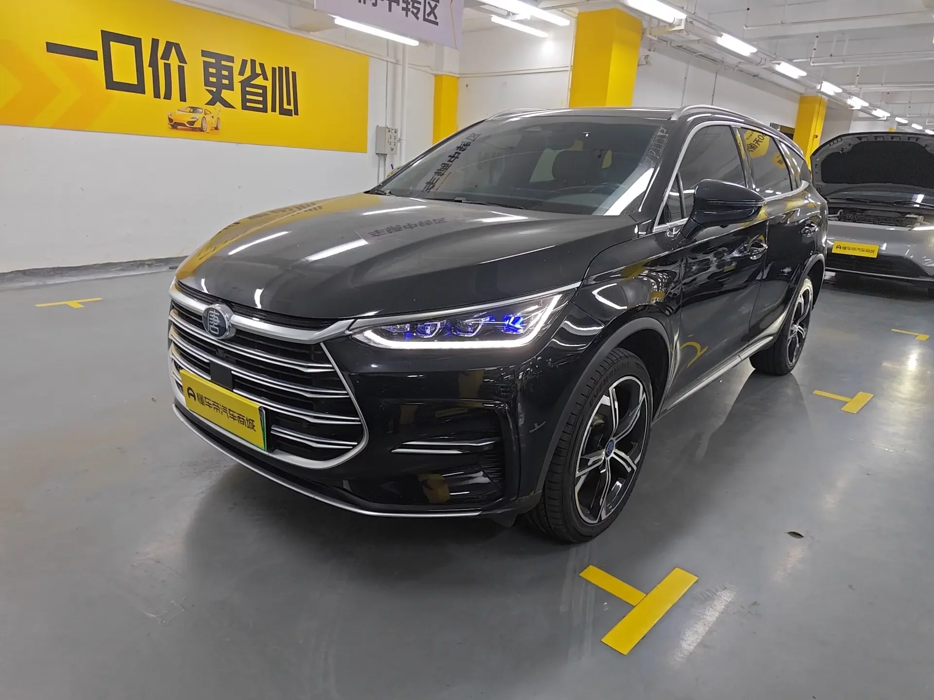 BYD Tang DM