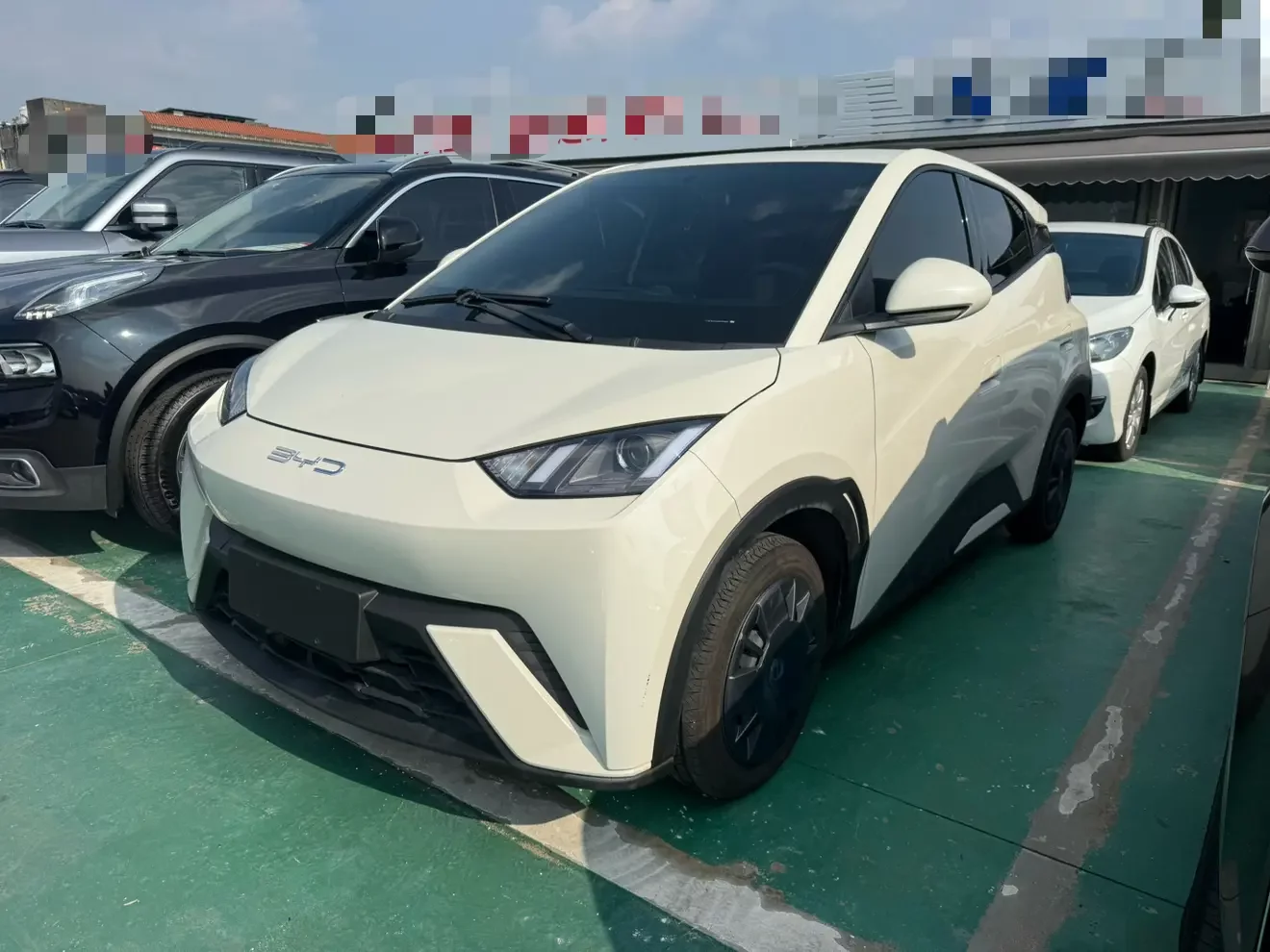 BYD seagull
