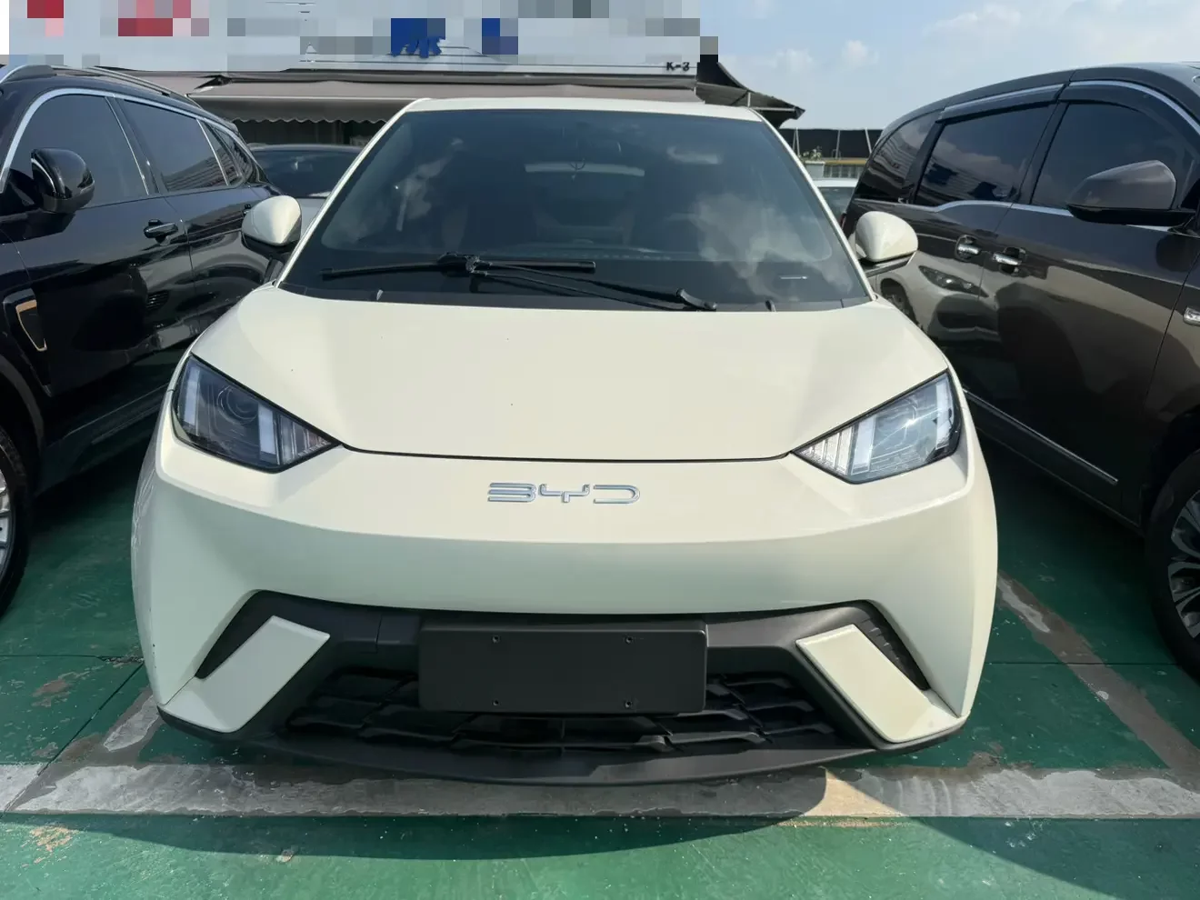 BYD seagull