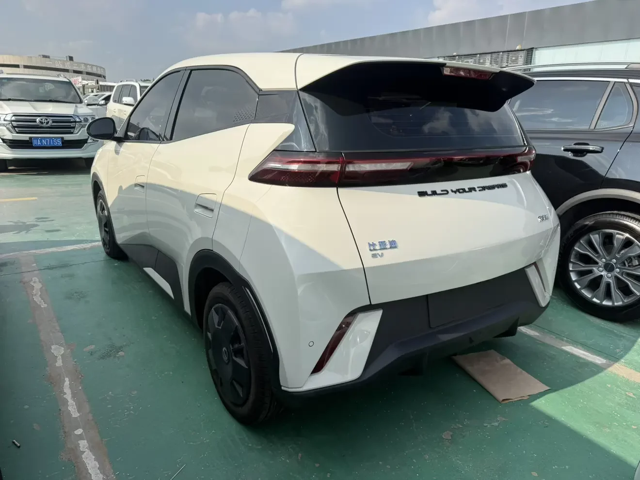BYD seagull