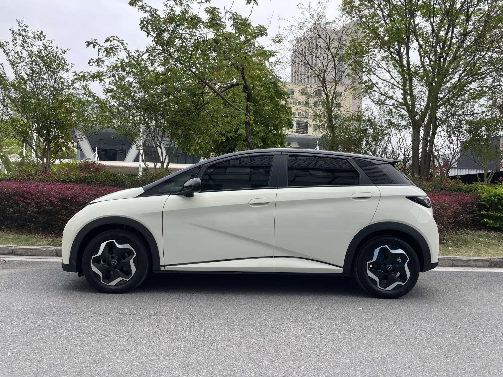 BYD dolphin