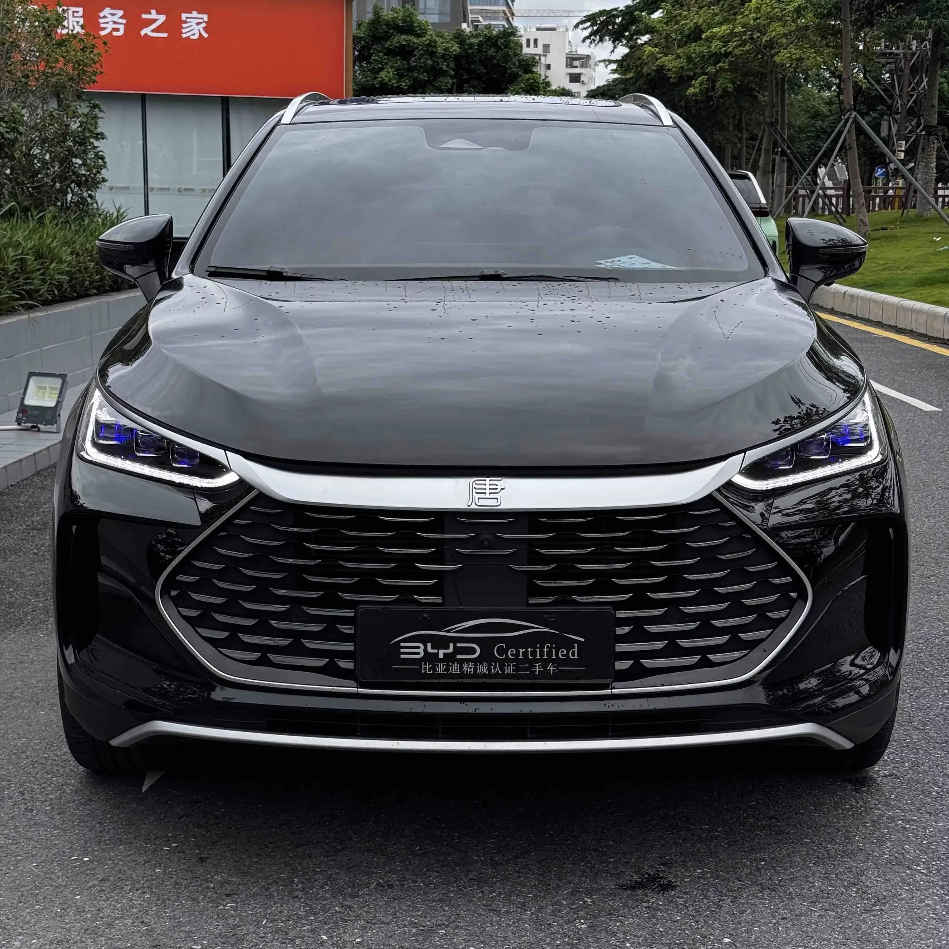 BYD Tang DM
