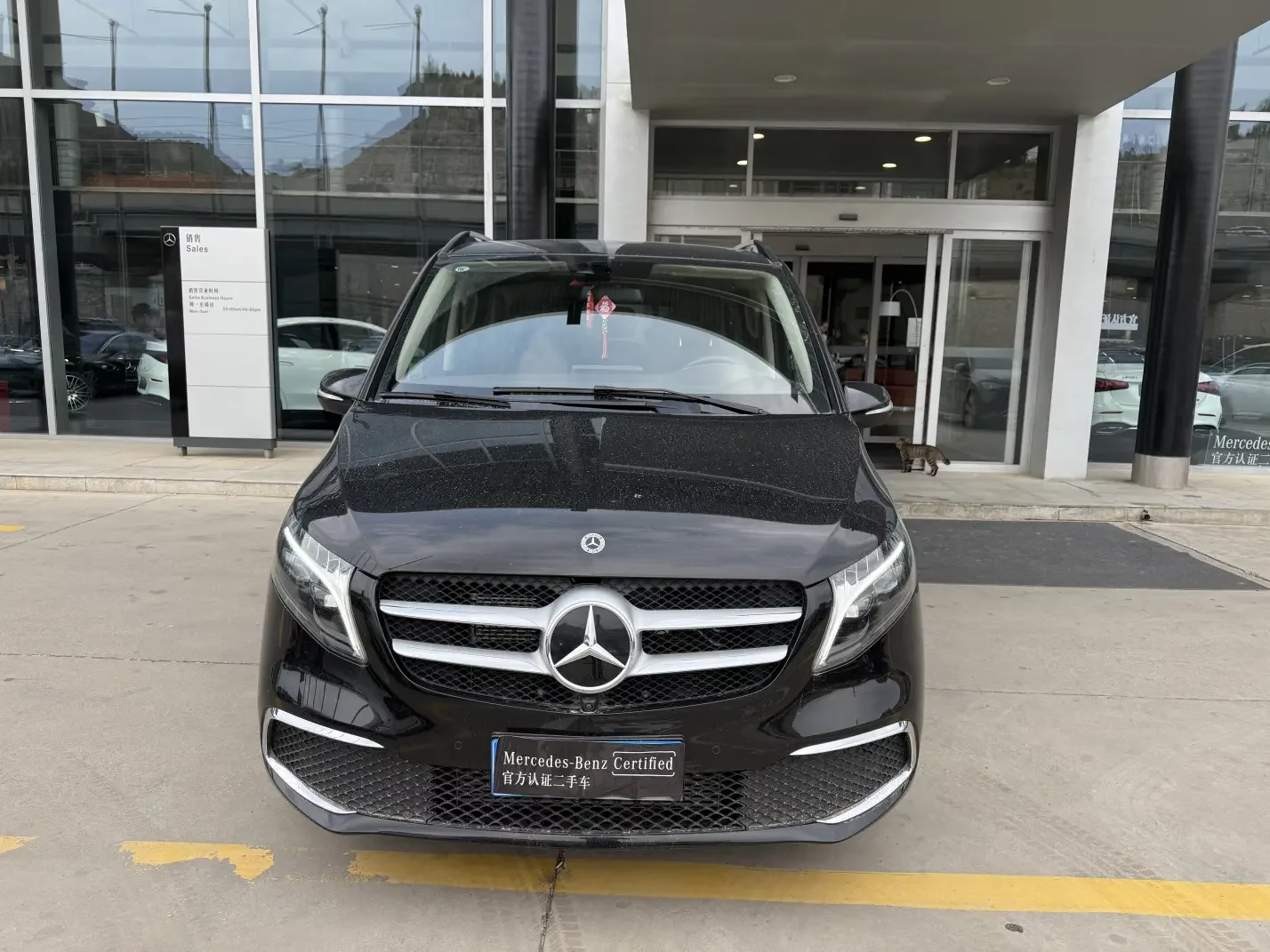 Mercedes-Benz V Class