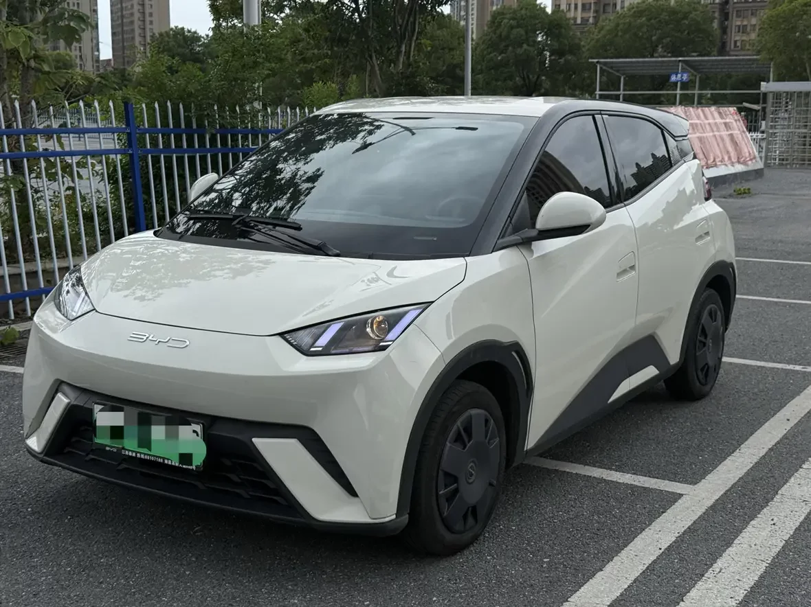 BYD seagull