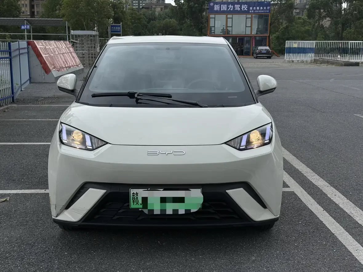 BYD seagull