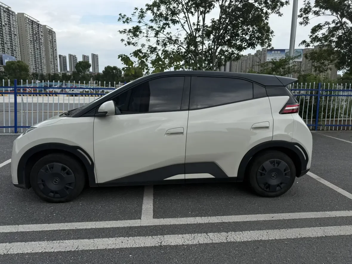BYD seagull