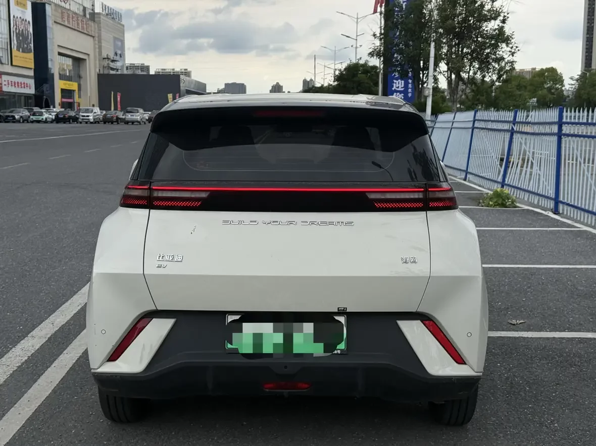 BYD seagull