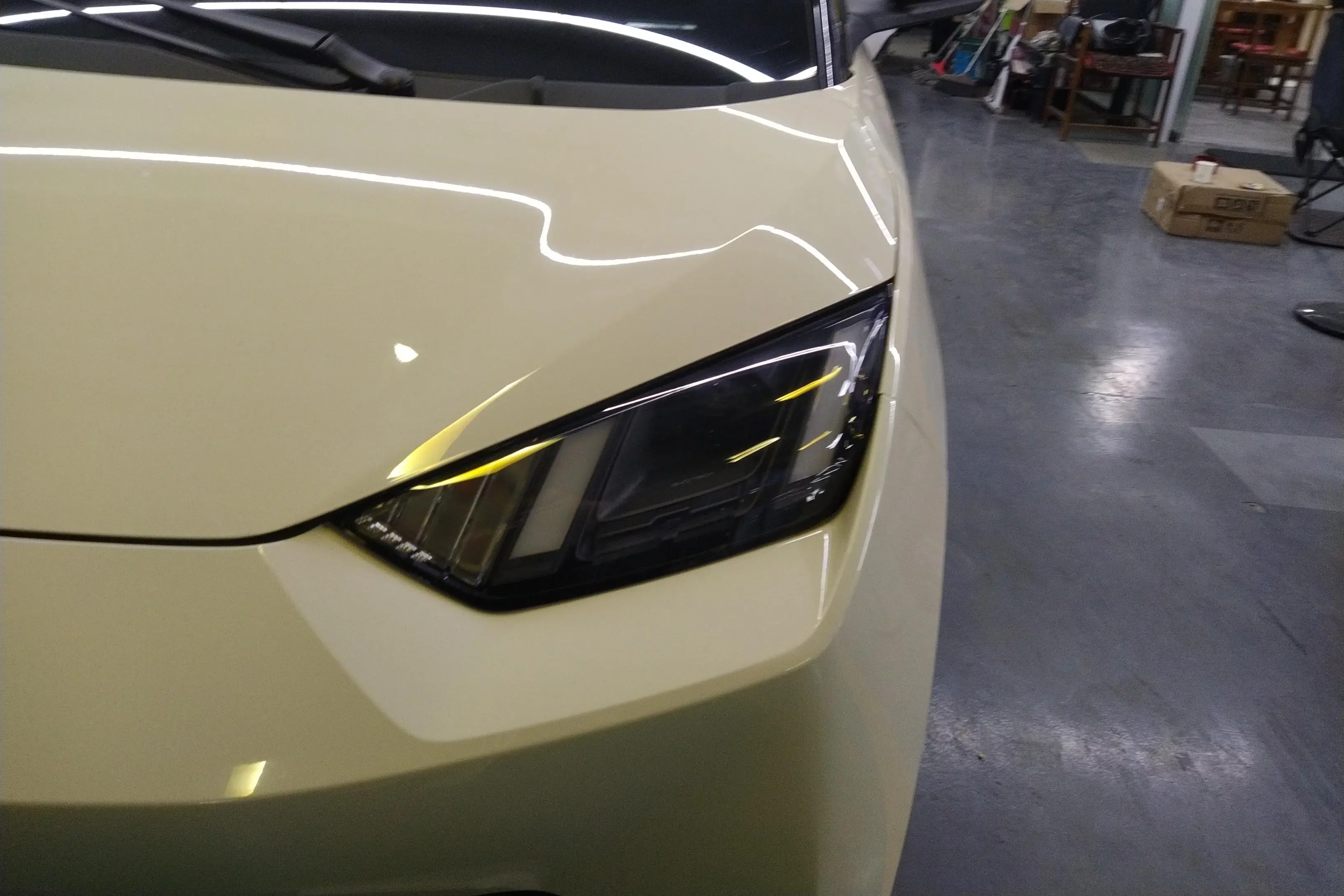BYD seagull