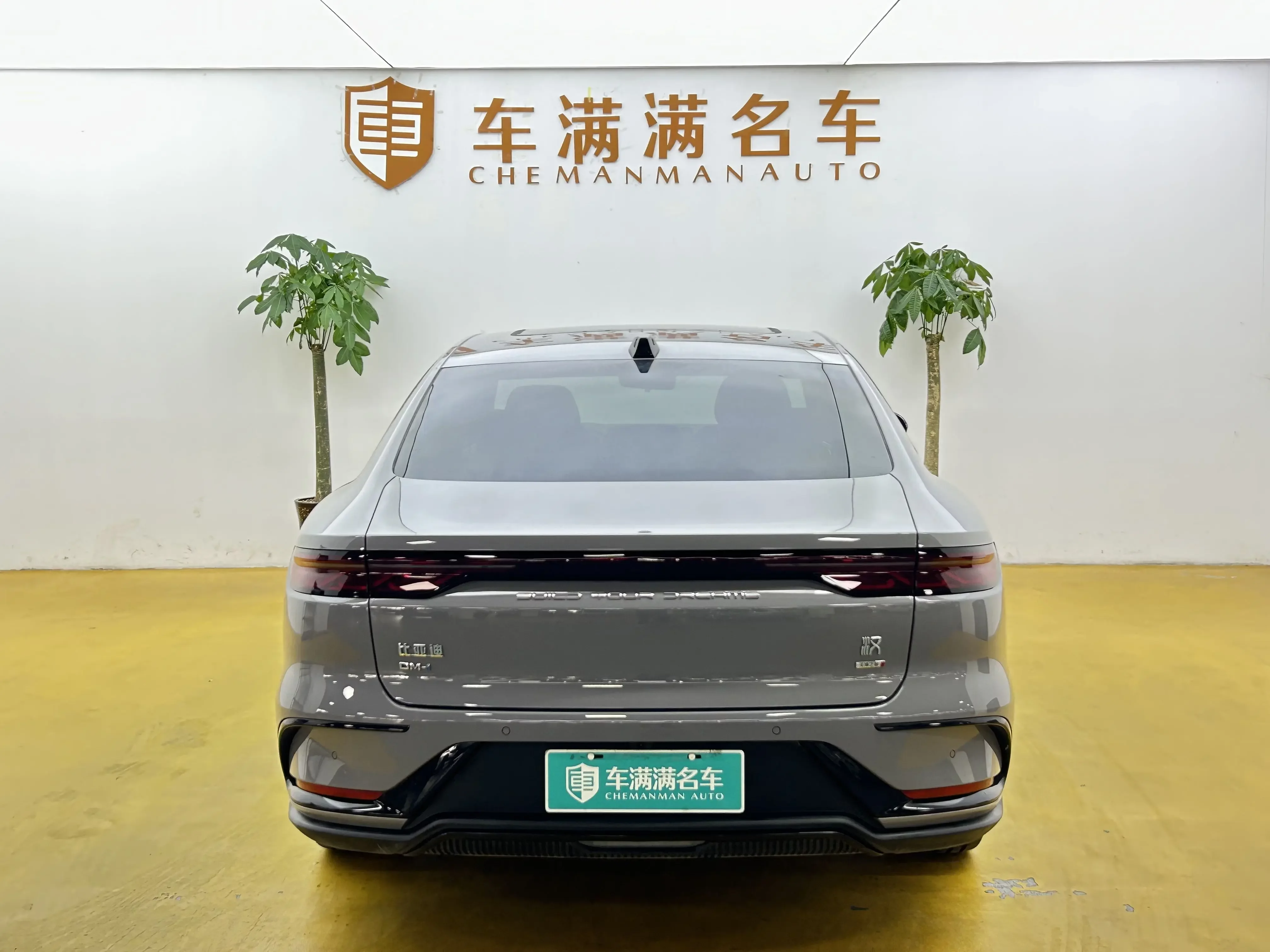 BYD HAN DM