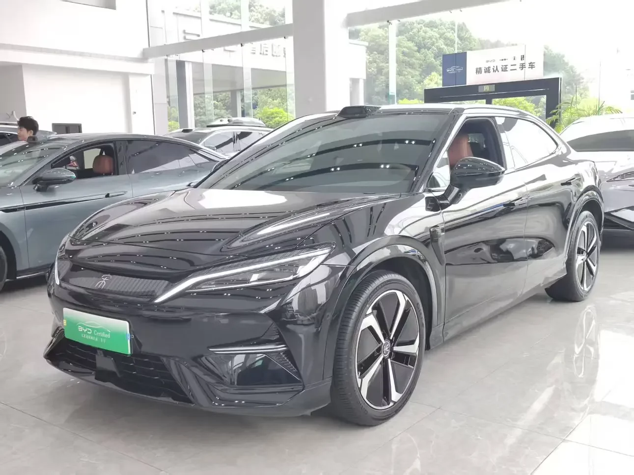 BYD Song L EV