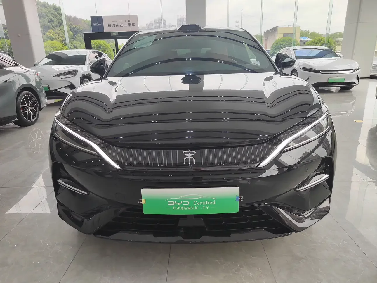 BYD Song L EV