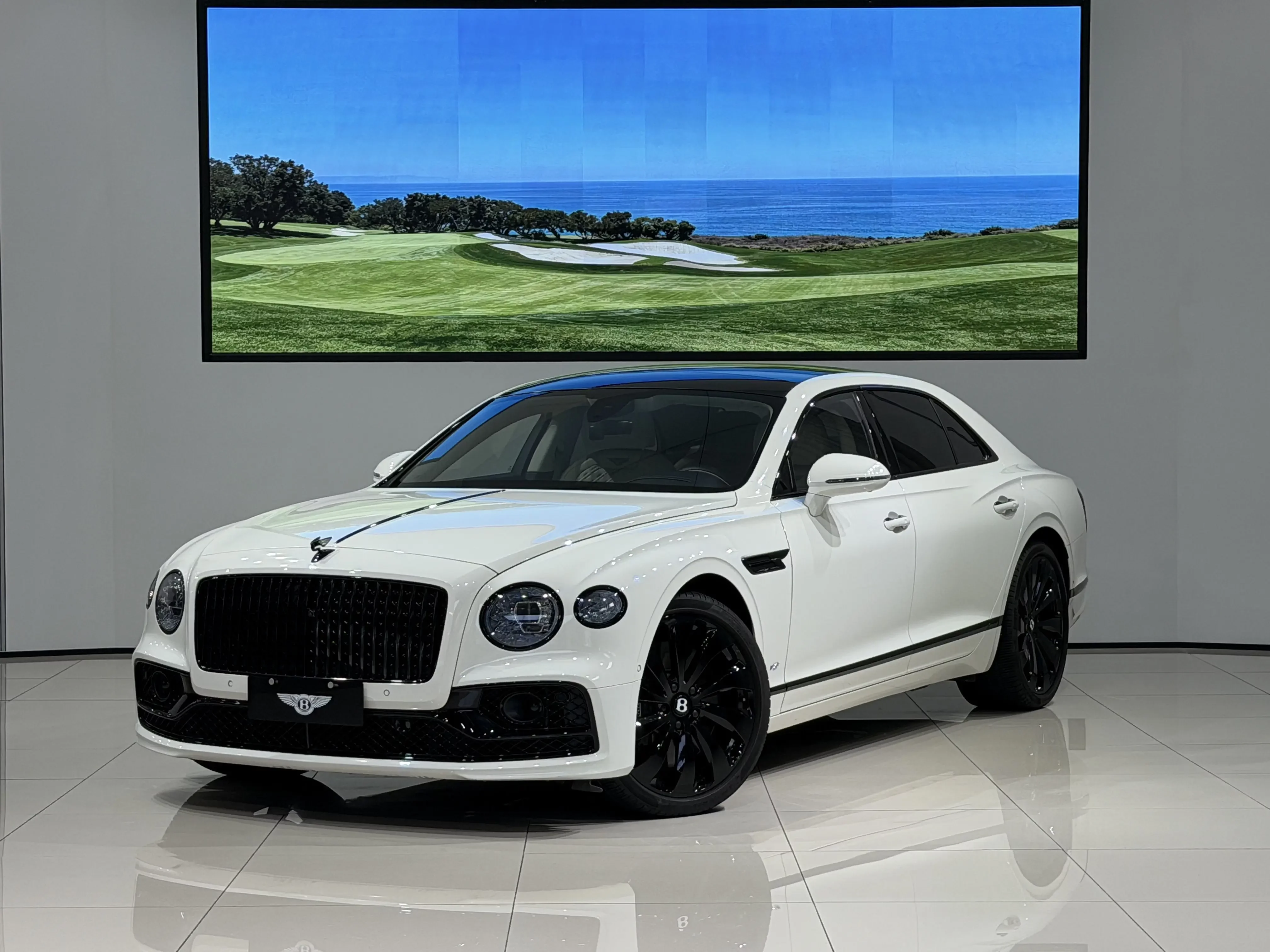 Bentley galloping