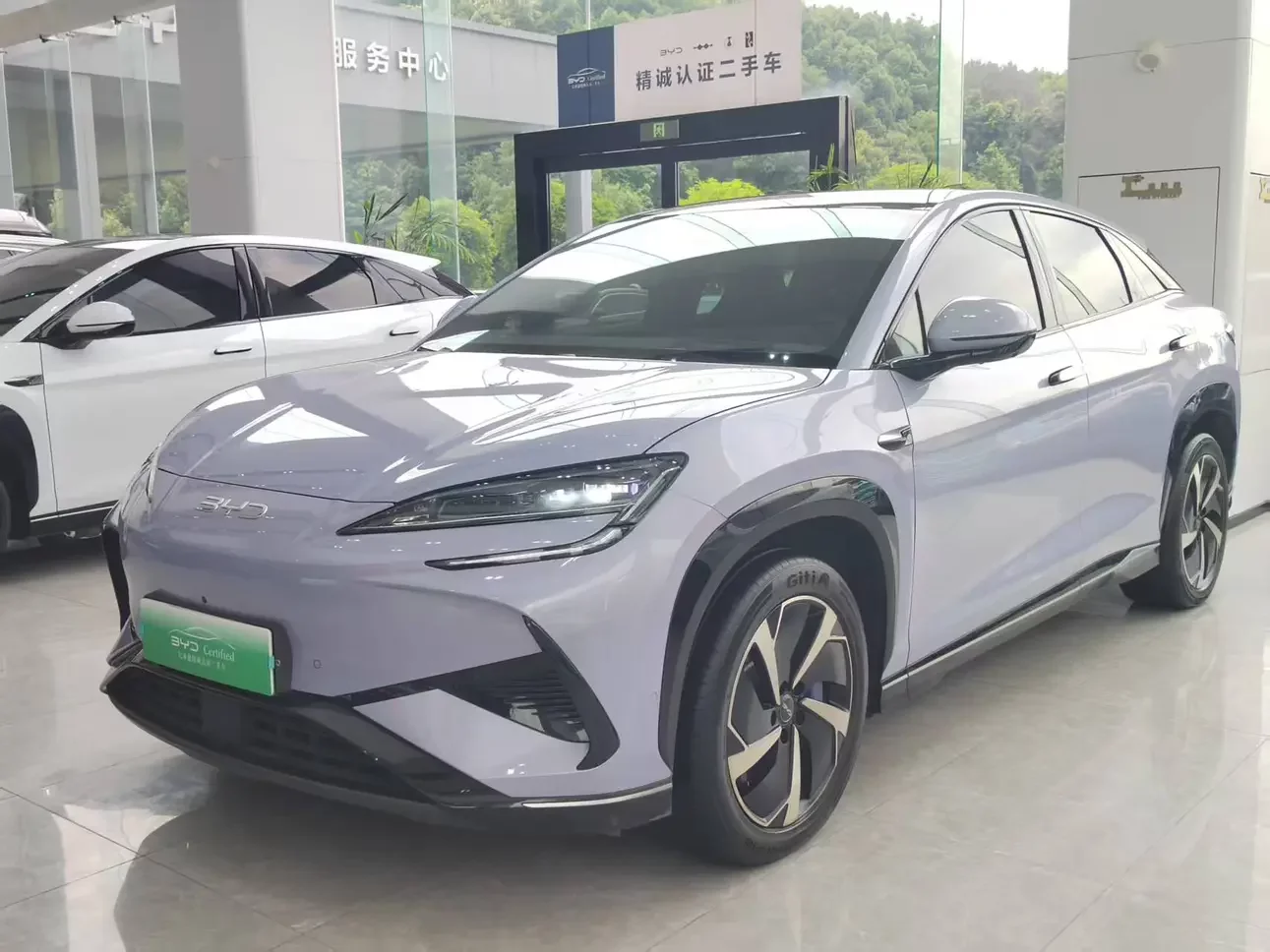 BYD Sea Lion 07EV