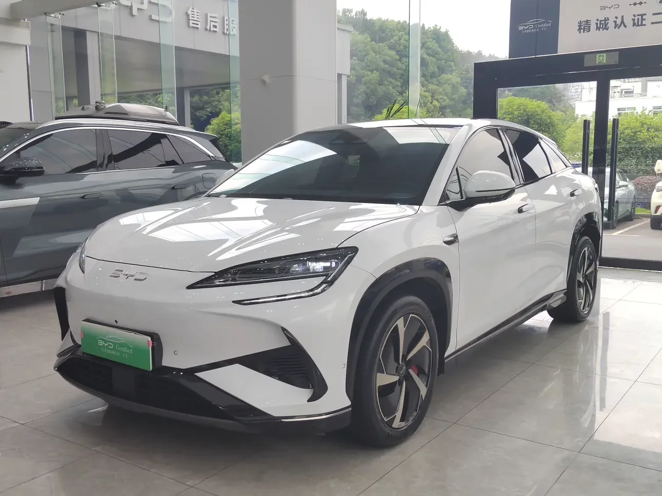 BYD Sea Lion 07EV