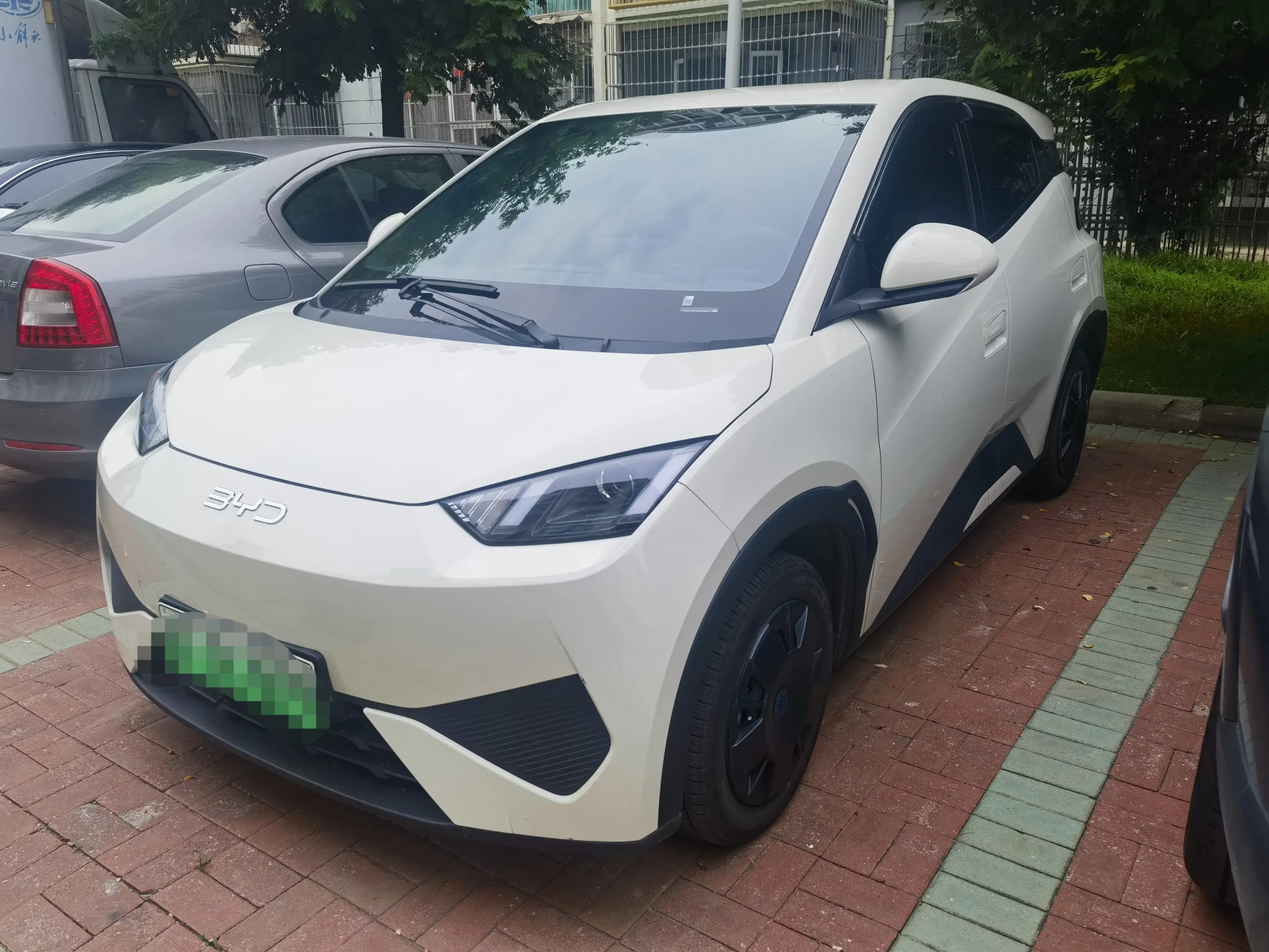 BYD seagull