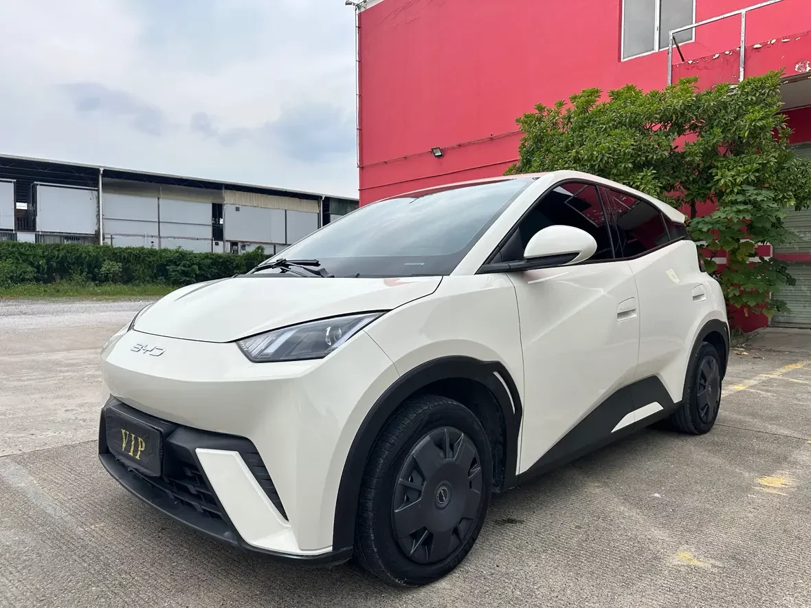 BYD seagull