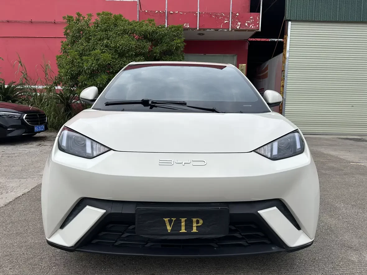 BYD seagull