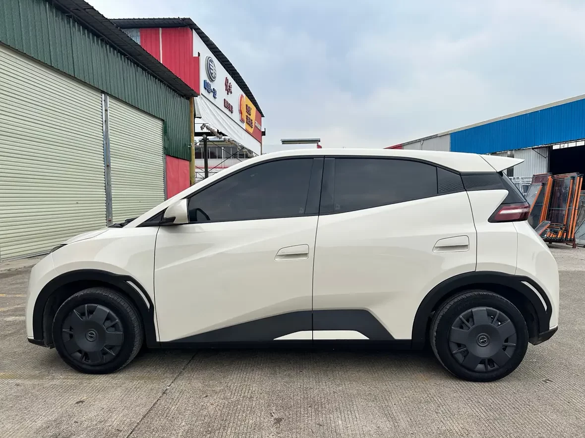 BYD seagull