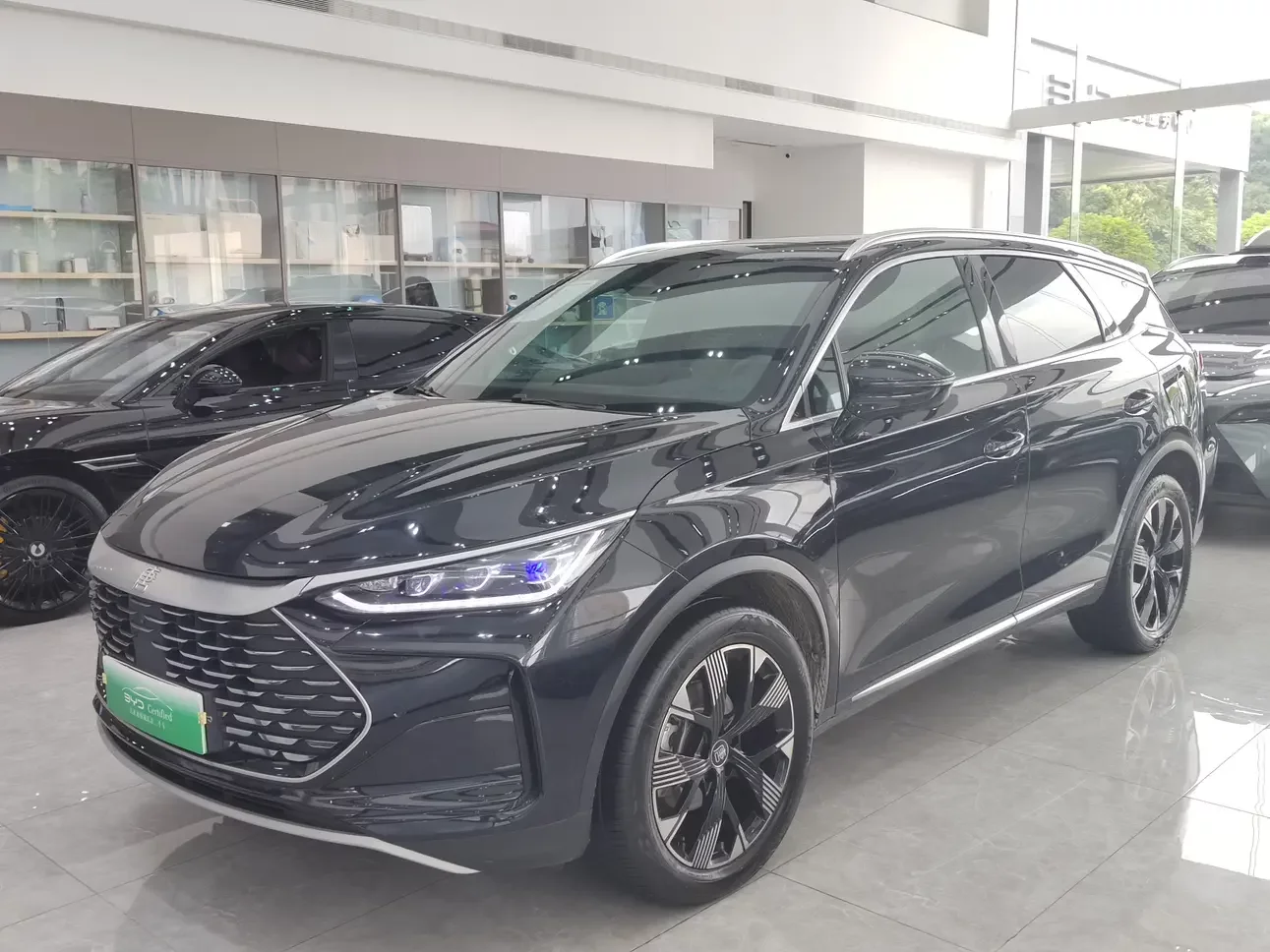 BYD Tang DM