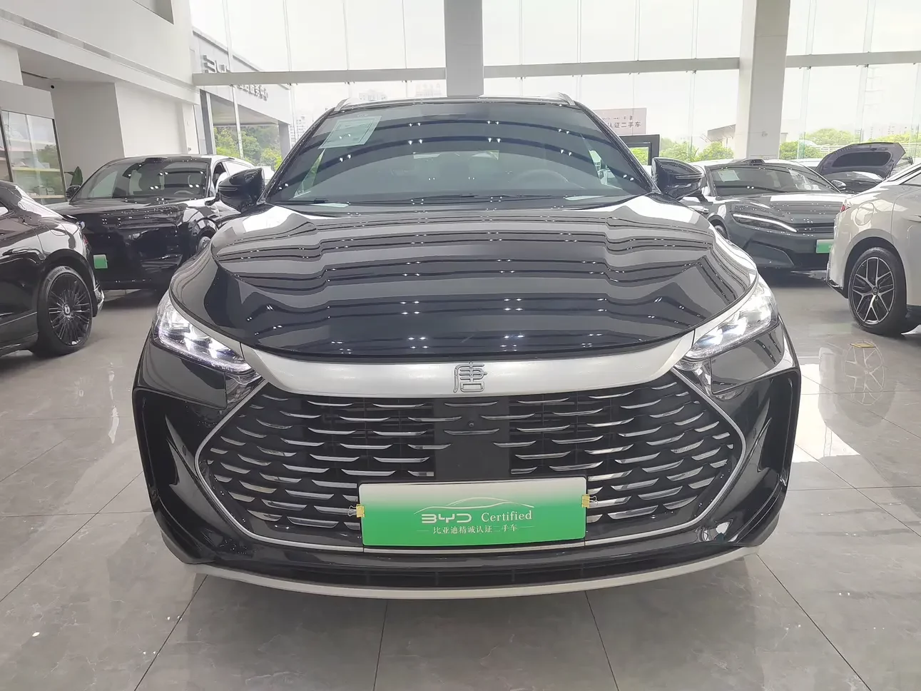 BYD Tang DM