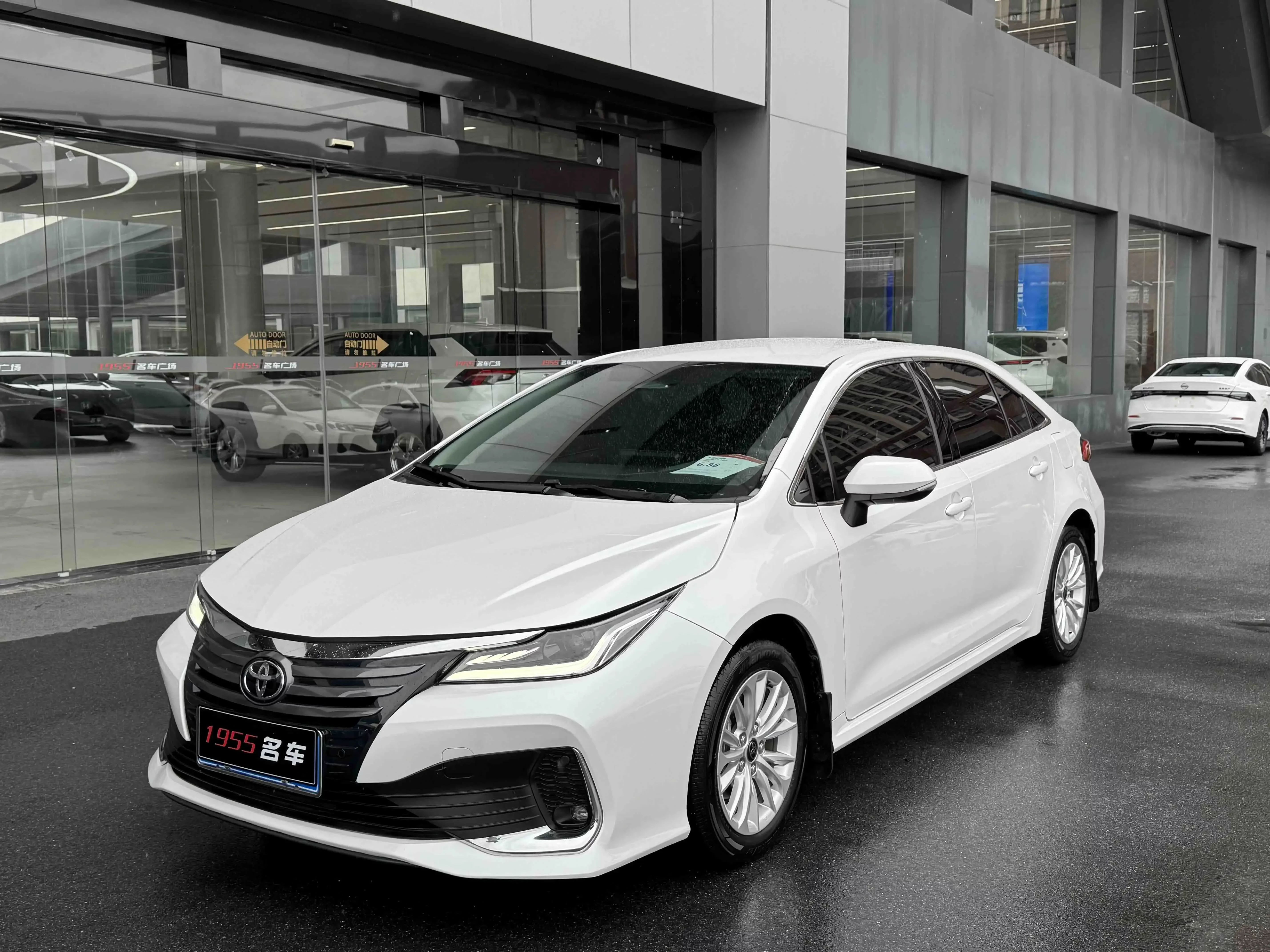Toyota Asiatic lion