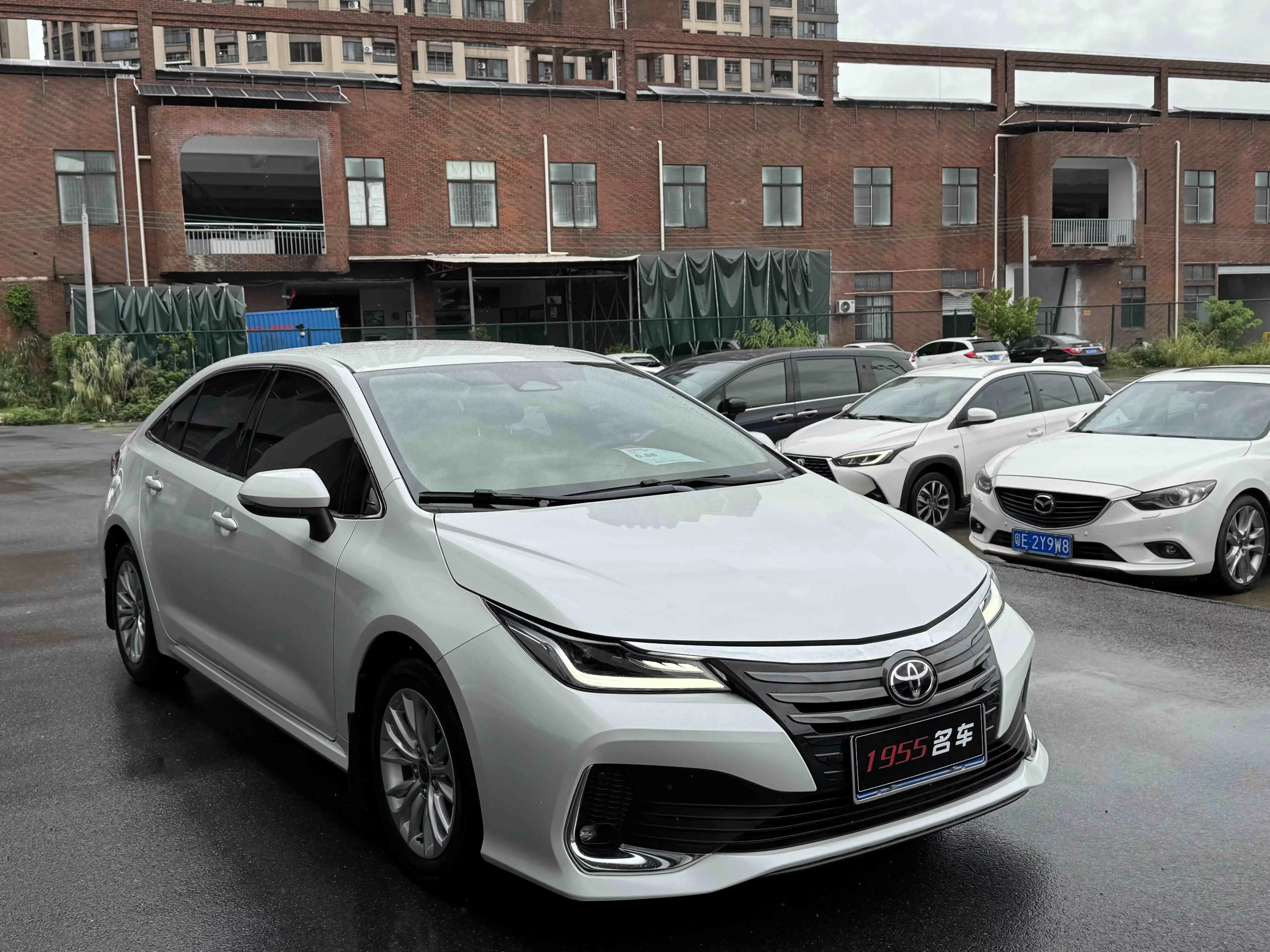 Toyota Asiatic lion